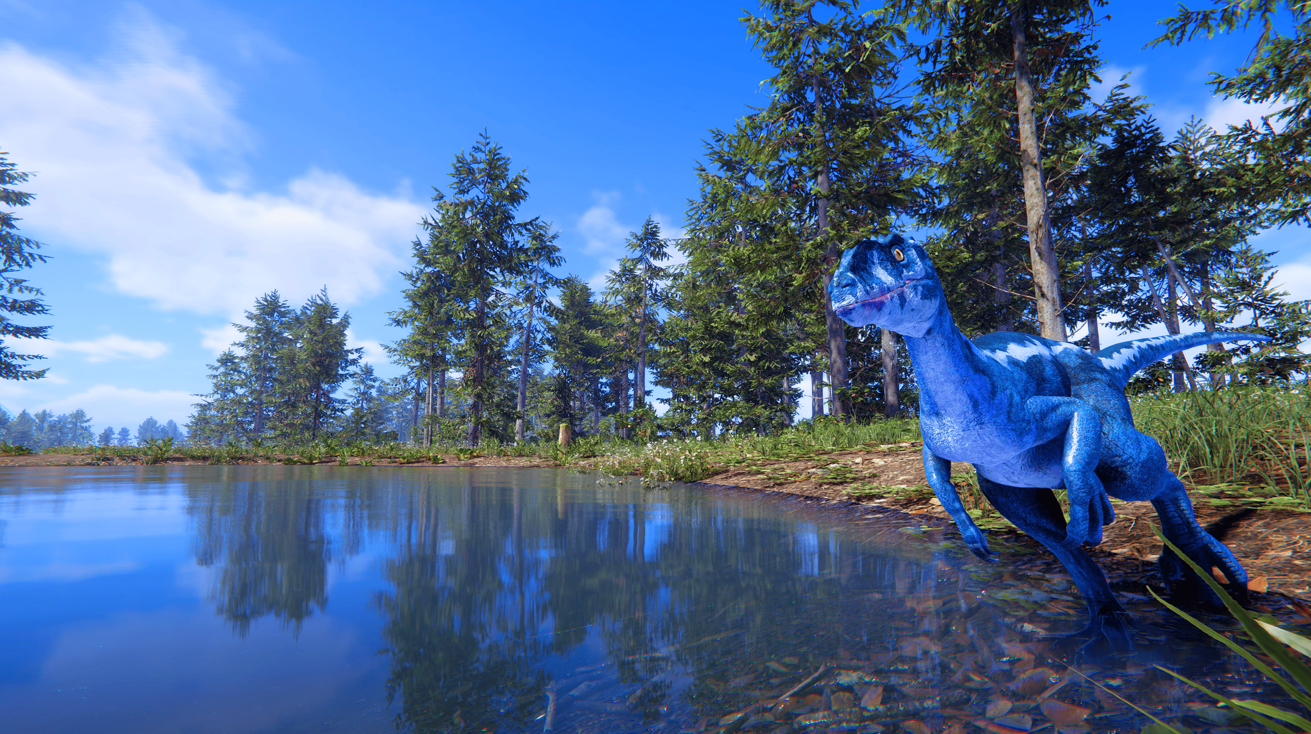 2026最新恐龙岛官网活动电脑端如何安装？附官网新闻查看方式